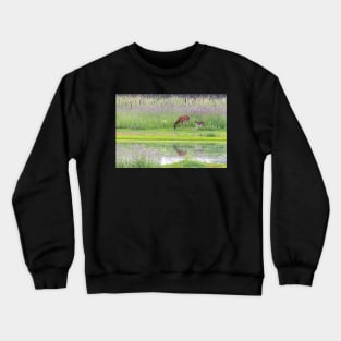 Peaceful Doe Crewneck Sweatshirt